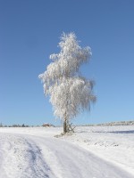 /album/fotogalerie/p1010046-jpg/